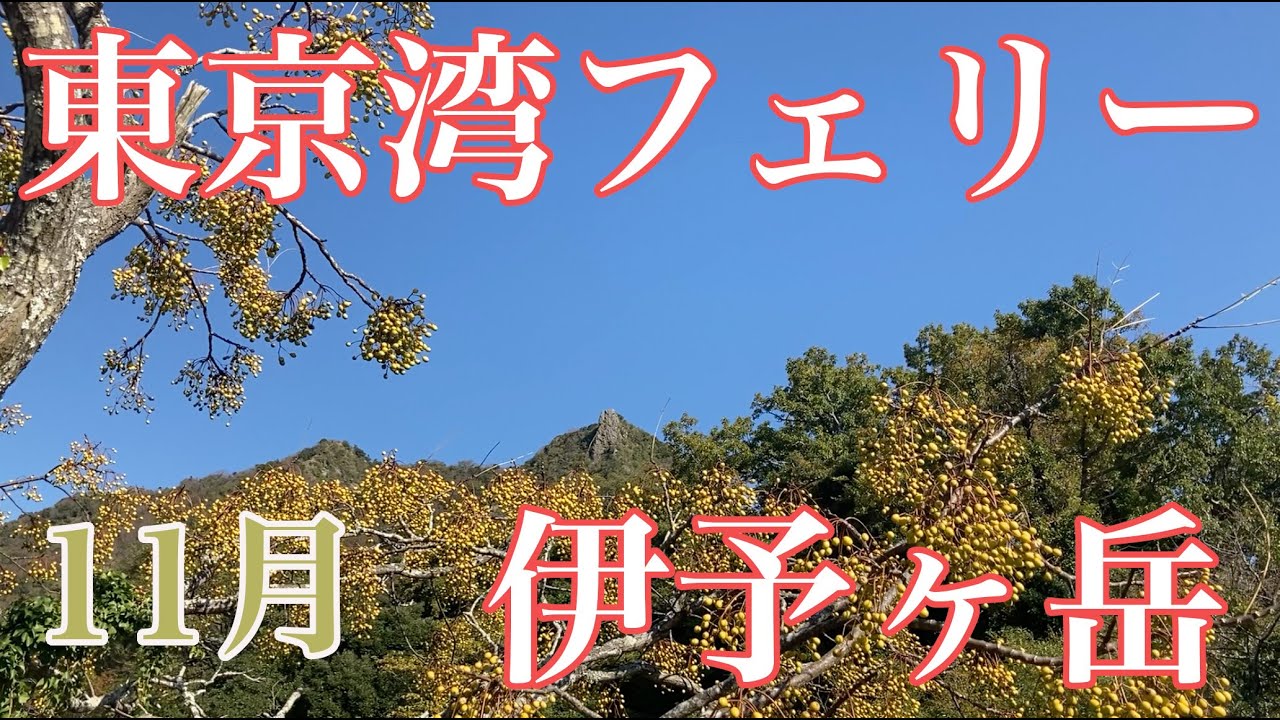 伊予ヶ岳｜千葉県南房総市｜フェリーと電車とバスで日帰り登山