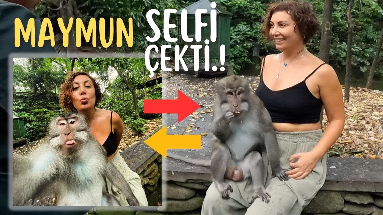 Bakın Nasıl Yaptı?  BALİ ADASI Maymunlar Ormanı