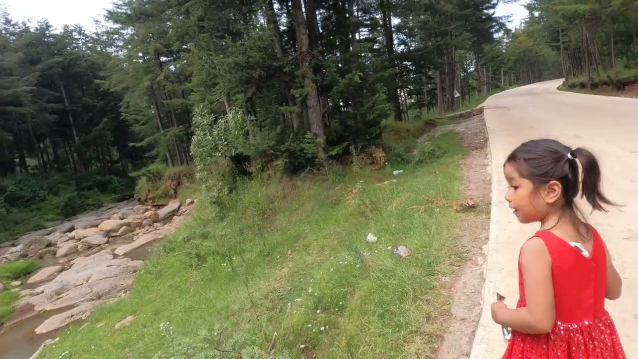 Podemos caminar durante el día sobre este camino de muchos árboles 