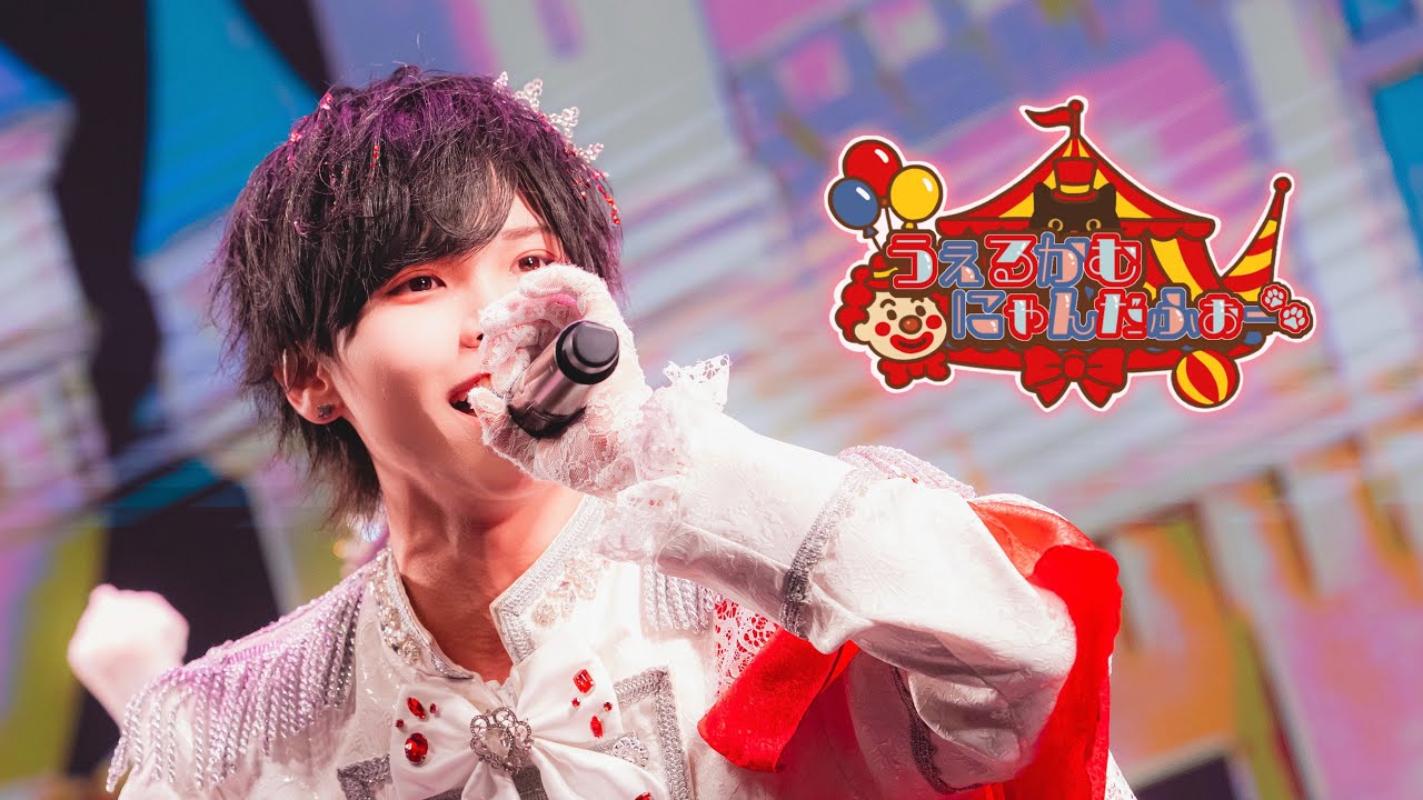 SE+『うぇるかむにゃんだふぉー』Live Video / にゃんだふる！