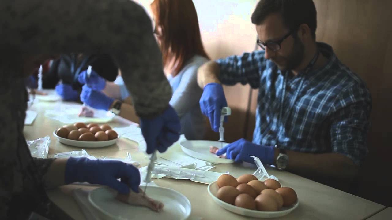 12th Warsaw International Medical Congress (WIMC) - Promo