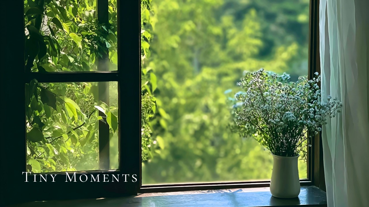 a comfort playlist for a quiet time