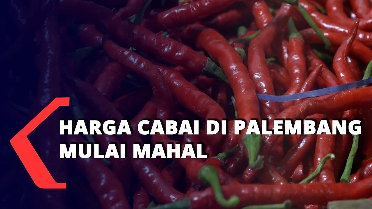 Harga Cabai di Palembang Mulai Mahal