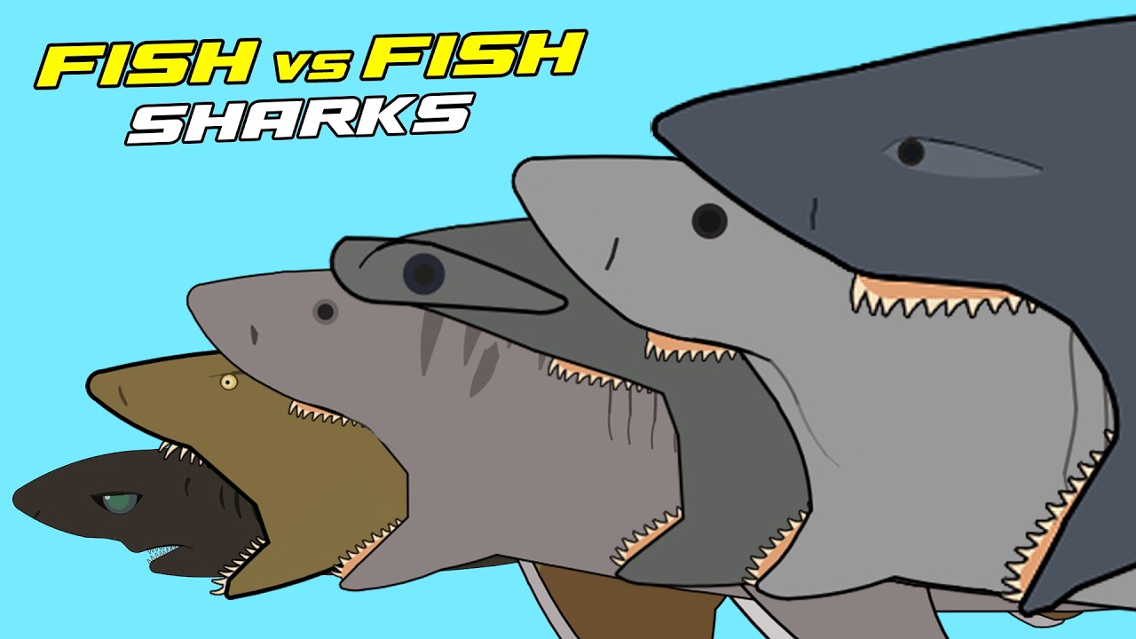 MEGALODON vs 9 SHARKS 🦈 FISH EATS FISH