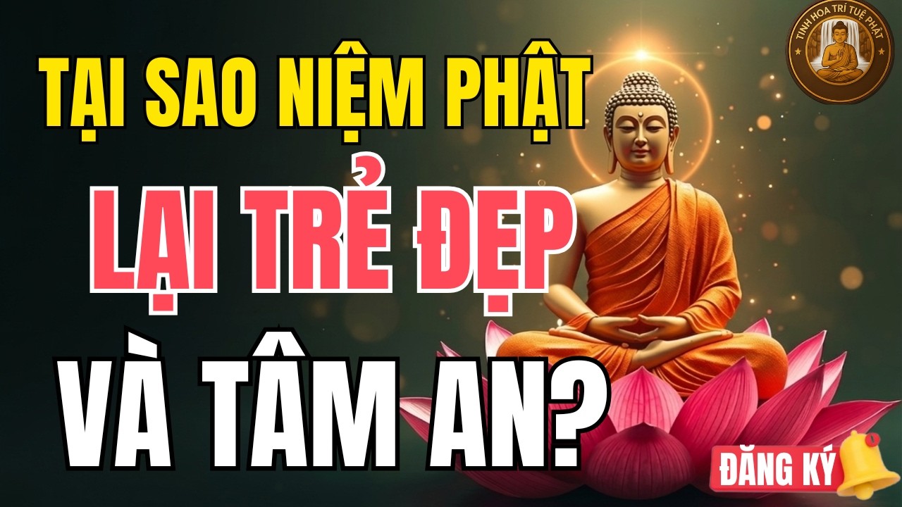 Phép Màu Từ Lời Phật Dạy: Tại Sao Càng Niệm Phật, Tâm Càng An, Thân Càng Trẻ?