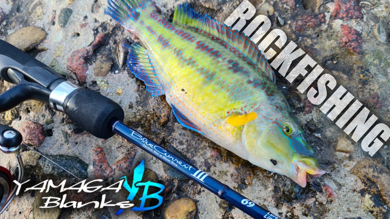 Yamaga Blanks BlueCurrent III BLC-69🎣 