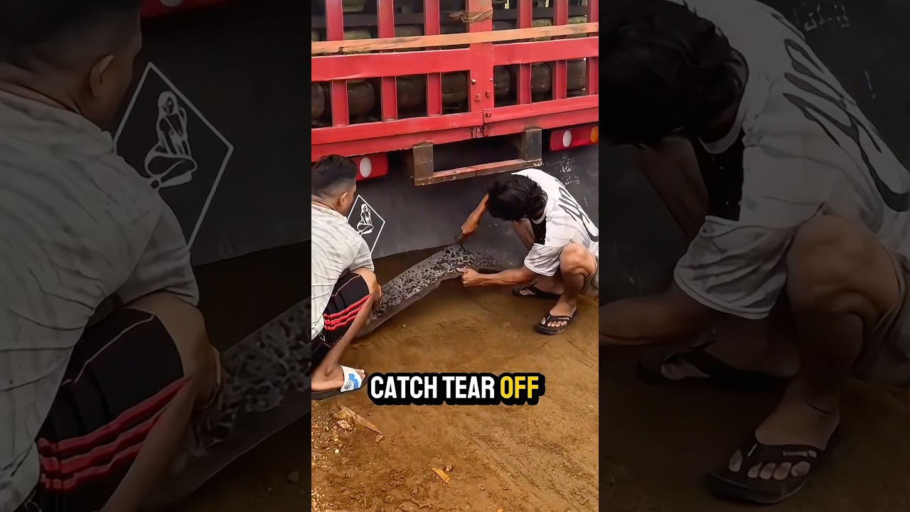 Why Did Police Make Him Cut the Mudflap?