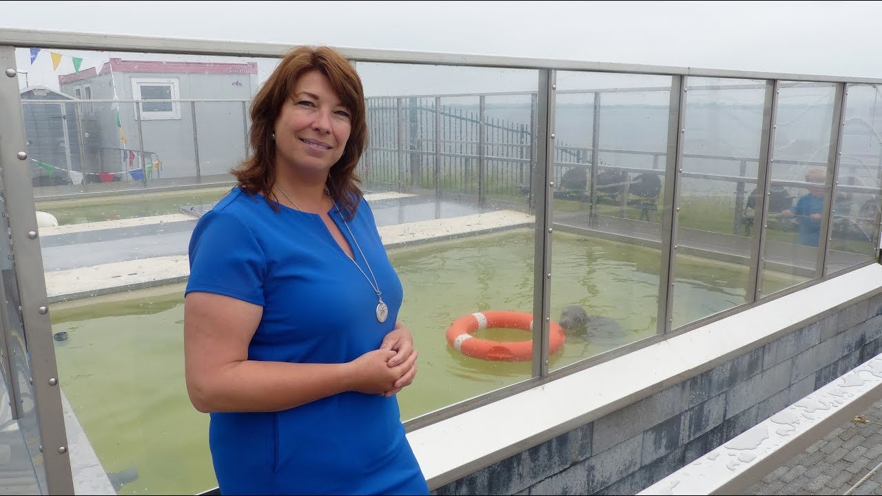 Zeehondenopvang A Seal opent nieuwe zeehondenkliniek / Stellendam 2018