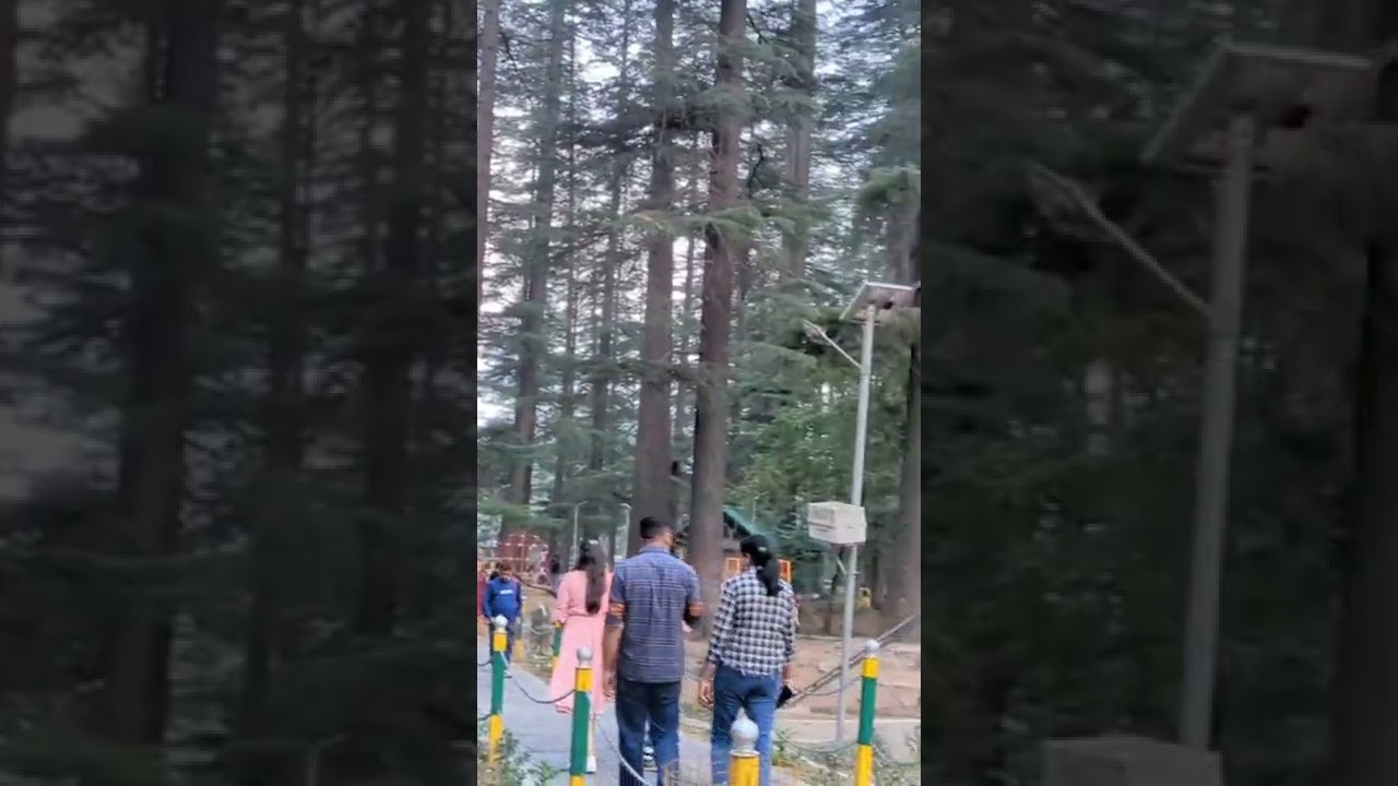 van vihar Manali.                            @nkfamilyvlogs