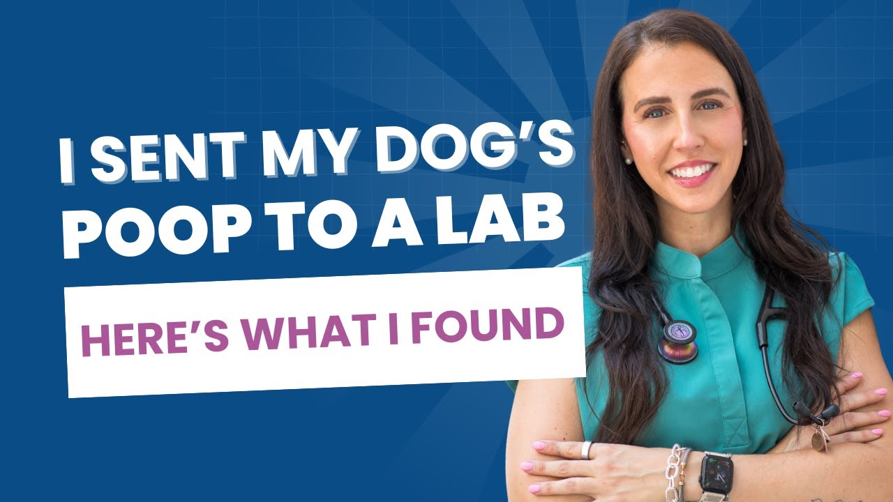 I Sent My Dog’s Poop to a Lab. Here’s What I Found