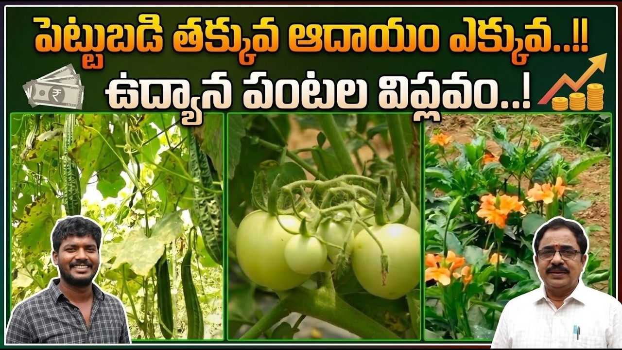 ఉద్యాన పంటల విప్లవం..! | Horticulture Revolution in Farming | రైతులకు భారీ ఆదాయం | Hmtv Agri