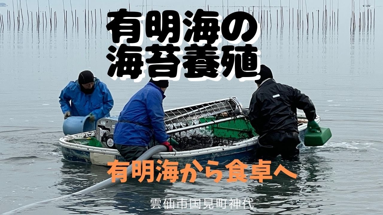 雲仙市国見町で有明海の海苔養殖をしている川原君のところに見学に行ってきました