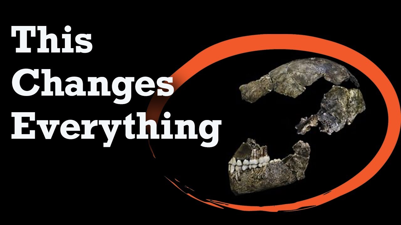 Homo naledi: The Disruptor