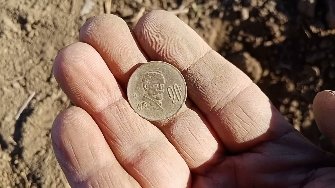 MONEDAS JUNTO A UN ÁRBOL 😱😱😱