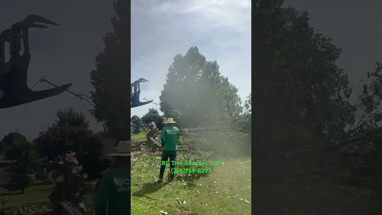 RC Tree Services, LLC