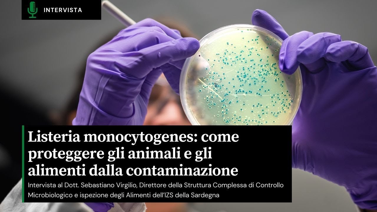 Listeria monocytogenes: come proteggere gli animali e gli alimenti dalla contaminazione