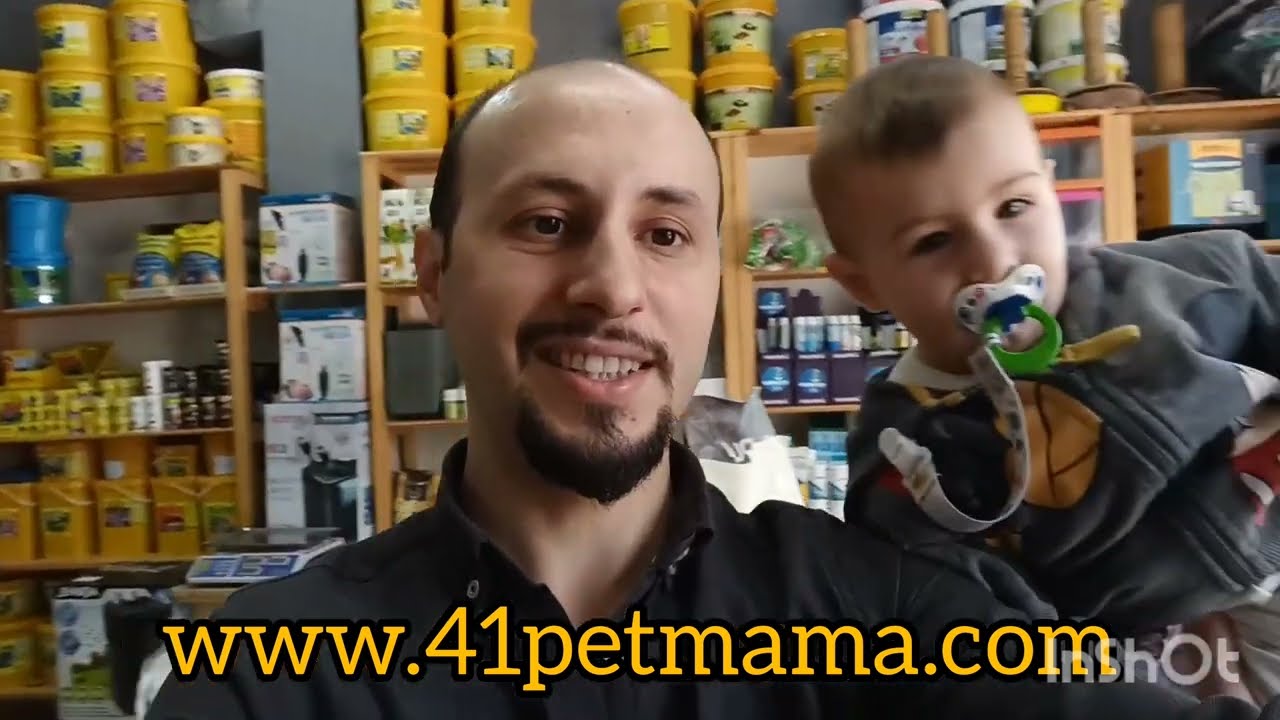 41 Pet Mama Petshop Dükkanımızın Son Durumu
