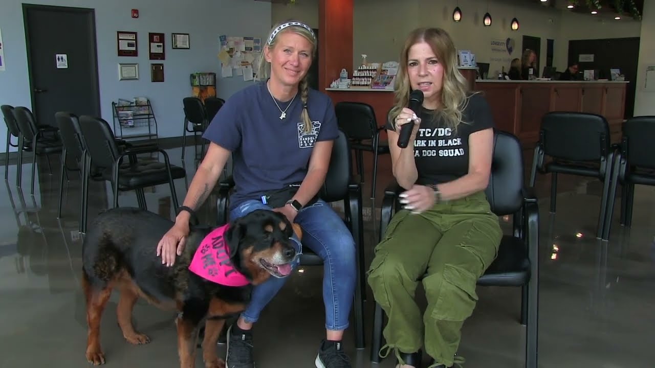 WDHA's Rock N' Ruff - 