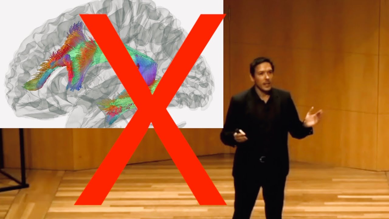 3 Myths About Excellence: Speech at The Hague University