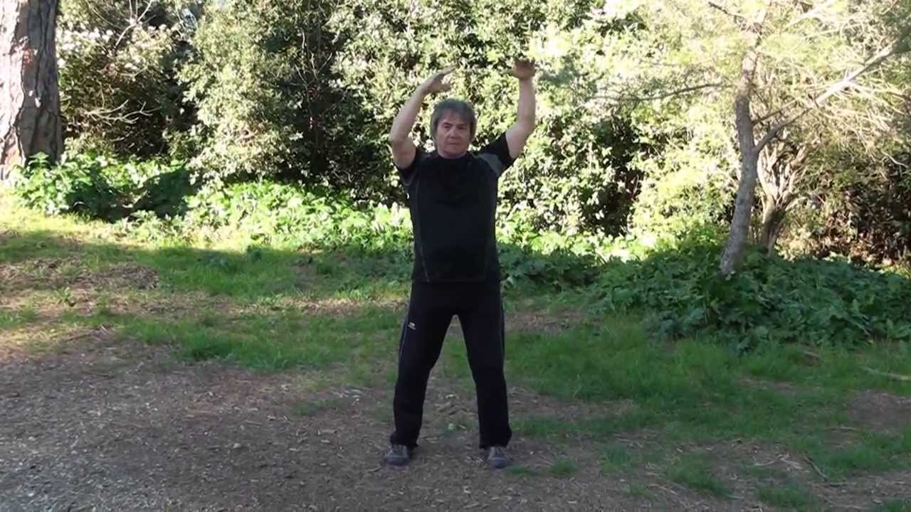 Tai Chi LE VENT