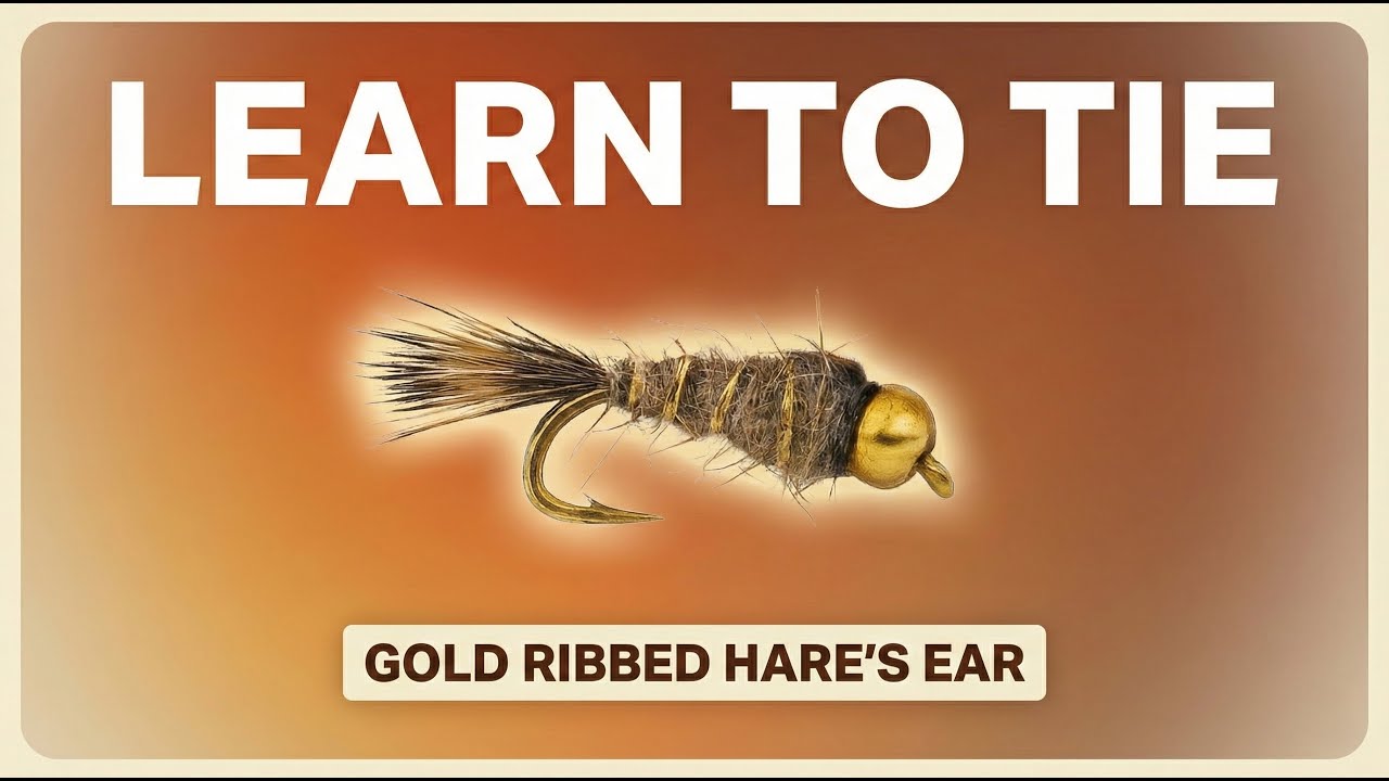 Gold Ribbed Hare’s Ear Fly Tying Tutorial | Classic Trout Nymph That Catches Everywhere (Quick Tie)
