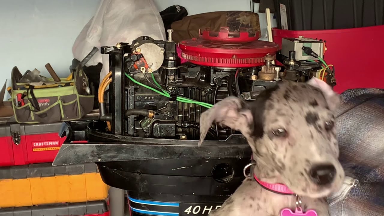 1973 40 hp Mercury 402 - Part 1 of 6 - Will it Run? Bad Wiring Replaced & No⚡️Parts Motor or Runner?