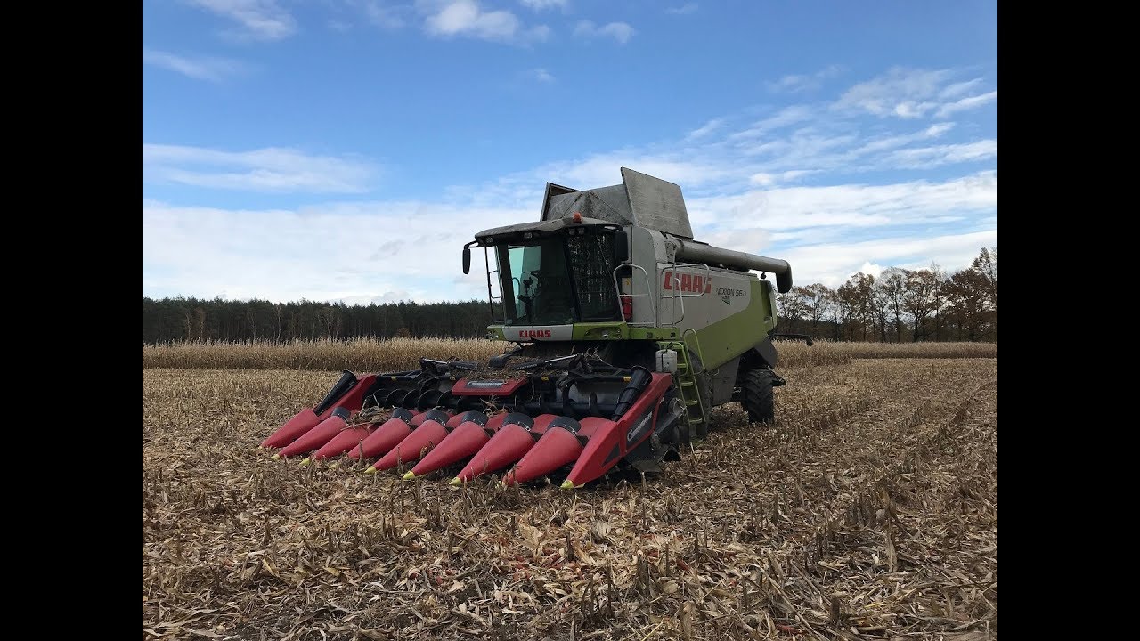 ★ Mega Akcja Kukurydza na ziarno 2017! ★ | Claas Lexion 560 |