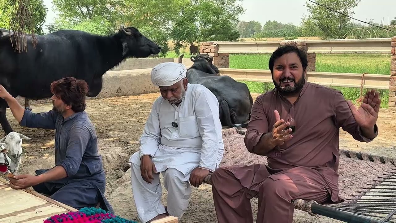 Anjum  Saroya ne banaiy   nawain plang apne bapu ty bebe Lai. Palang di palsh  da haal.