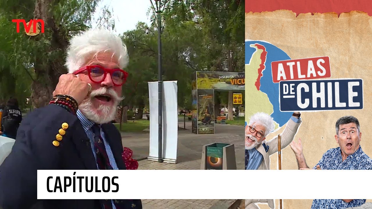 Atlas de Chile - T1E21 | Vicuña