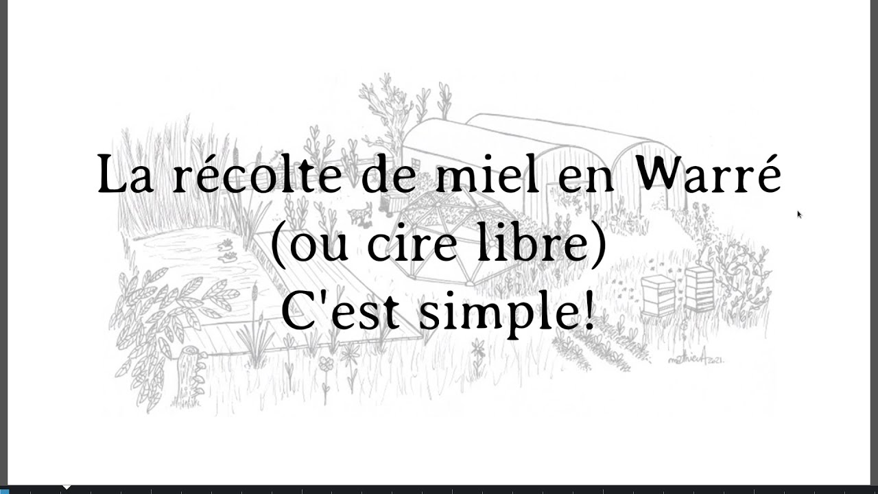 La récolte de miel en ruche Warre, c'est simple!
