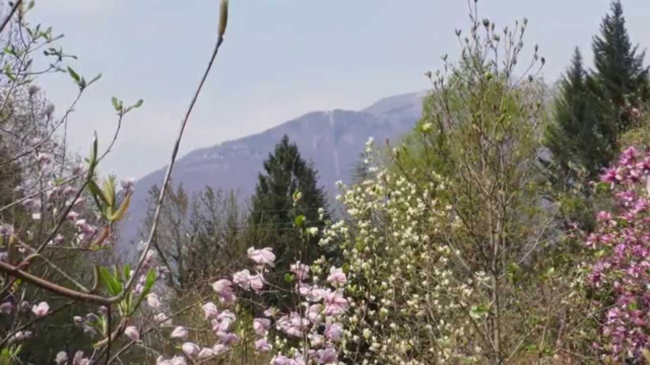 Parco Botanico del Gambarogno (Parco Eisenhut), Vairano/San Nazzaro.