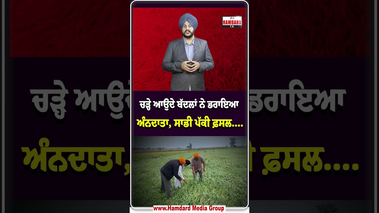Rain Alert in Punjab : ਚੜ੍ਹੇ ਆਉਂਦੇ ਬੱਦਲਾਂ ਨੇ ਡਰਾਇਆ ਅੰਨਦਾਤਾ, ਸਾਡੀ ਪੱਕੀ ਫ਼ਸਲ&hellip;.