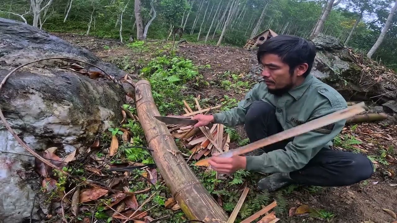La faune et la flore au-dessus de ma ferme flottante