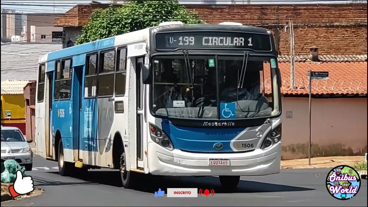 Linhas Estruturais Ribeirão Preto