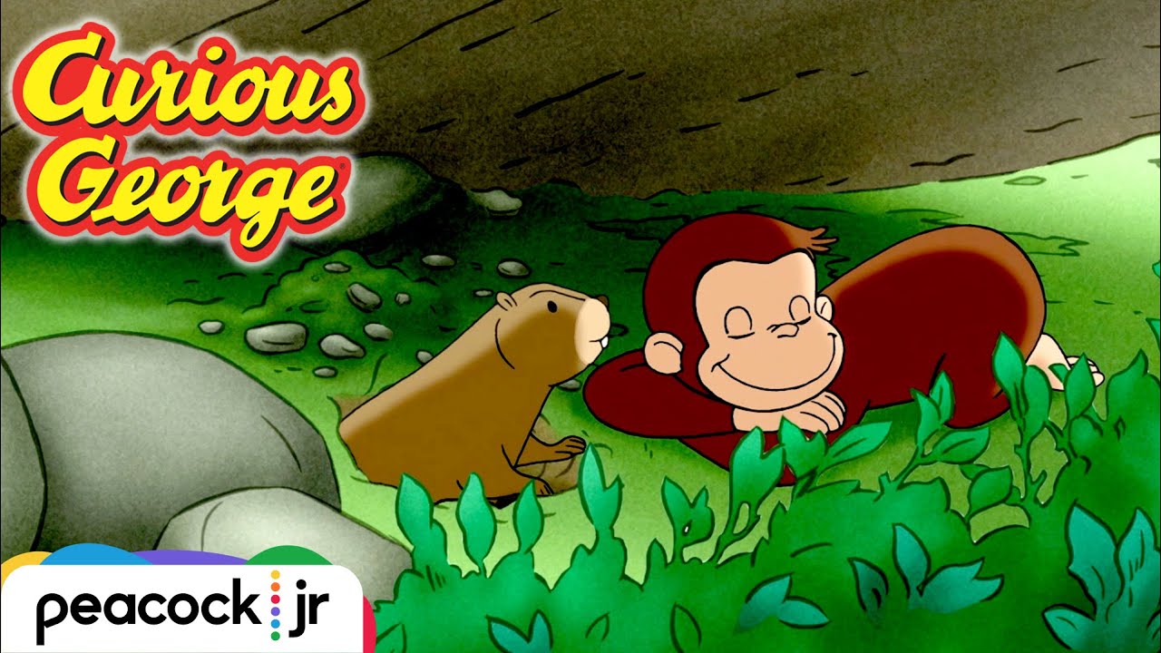 A Different Day for Groundhogs | CURIOUS GEORGE