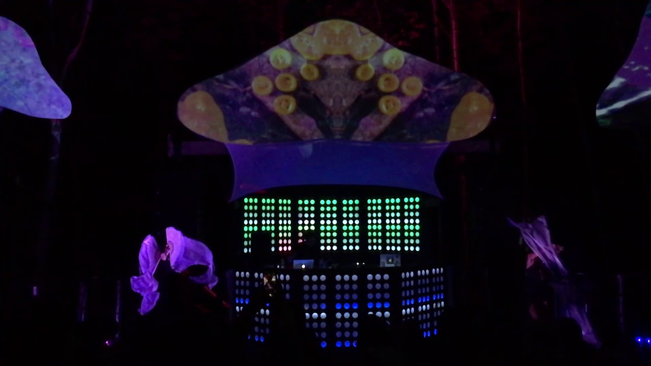 Soohan at Future Forest 2017 with PsyPhi on visuals