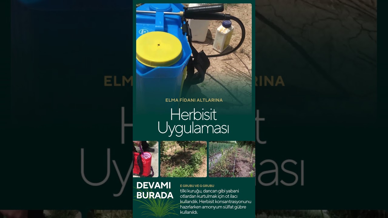 Herbisit Ot İlacı Uygulaması Nasıl Yapılır?