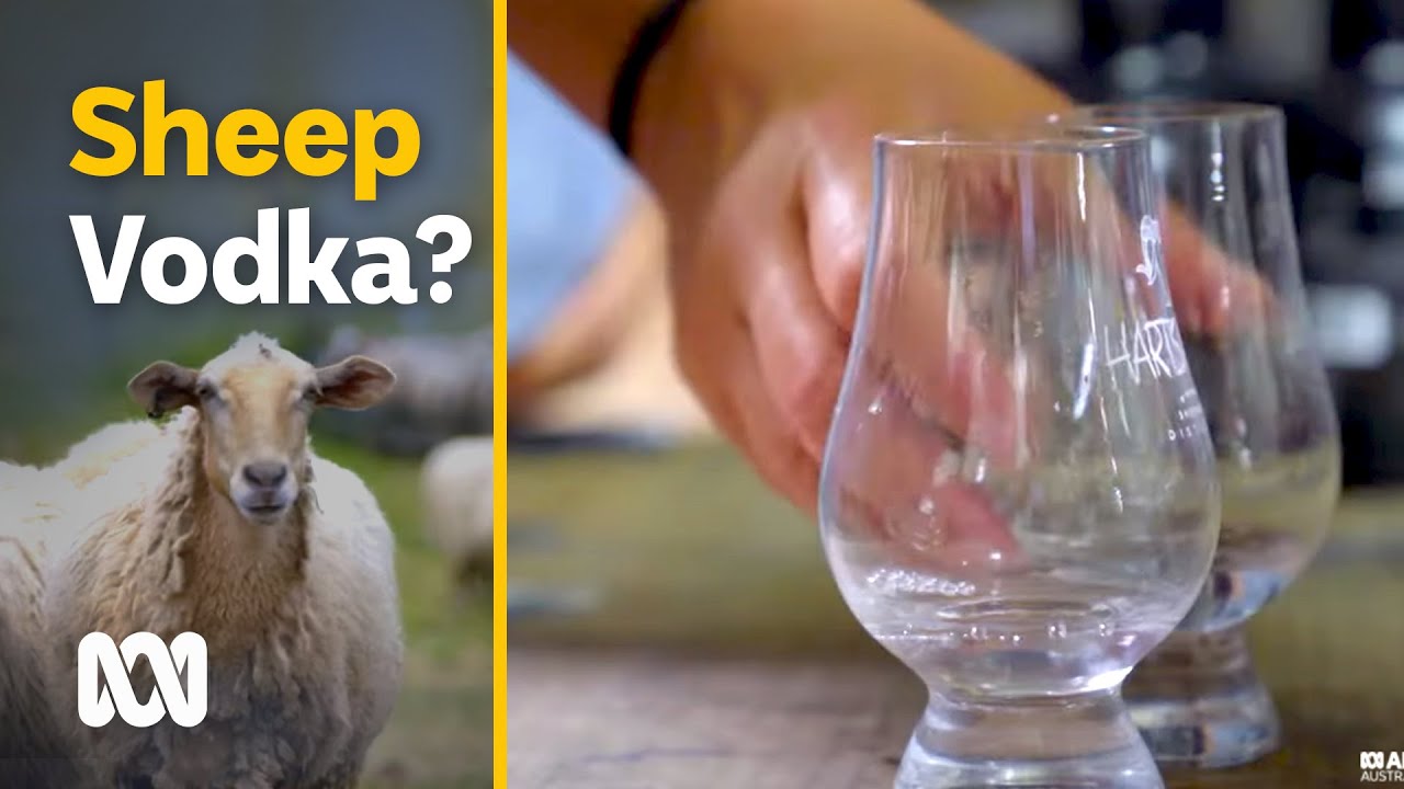 Sheep vodka, sheep cheese & sheep cosmetics &ndash; the only whey | Movin' To The Country | ABC Australia