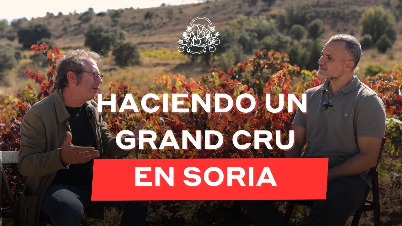 ¿Por qué Bertrand Sourdais lo apostó todo por un viñedo olvidado? | Dominio de Es |  #10