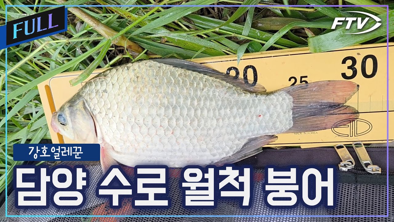 [Full]붕어 월척을 만나게 해준 비밀병기는? feat. 옥수수[강호얼레꾼/34회]