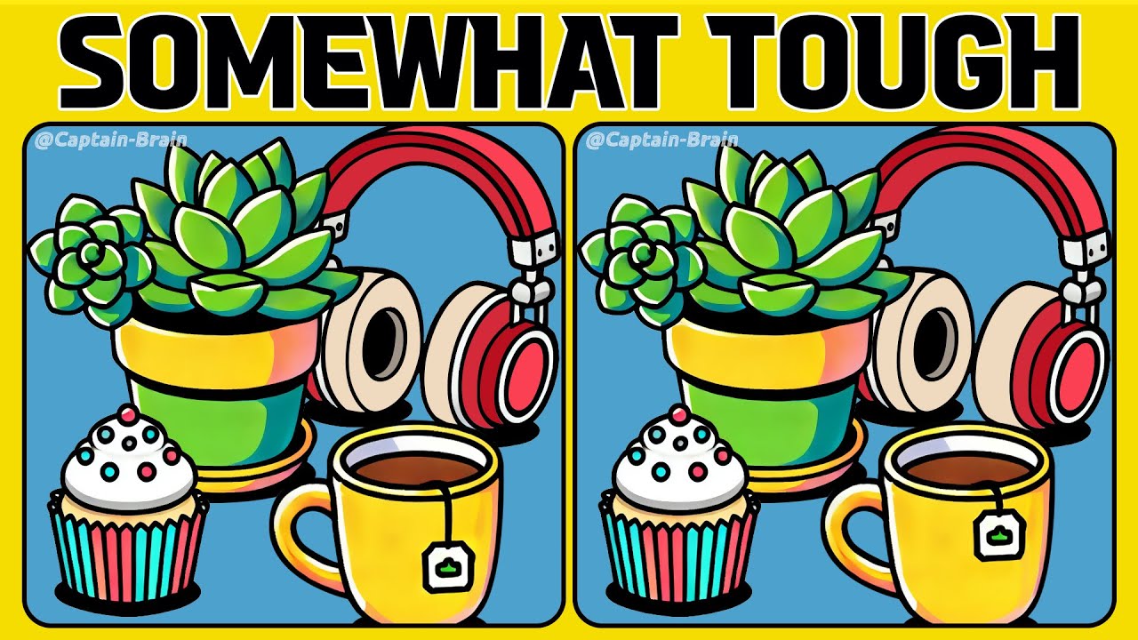 Spot the 3 Differences | Are You Up for the Challenge? (A Bit Tricky)