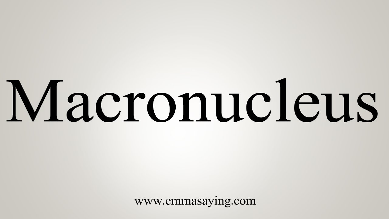 How To Say Macronucleus