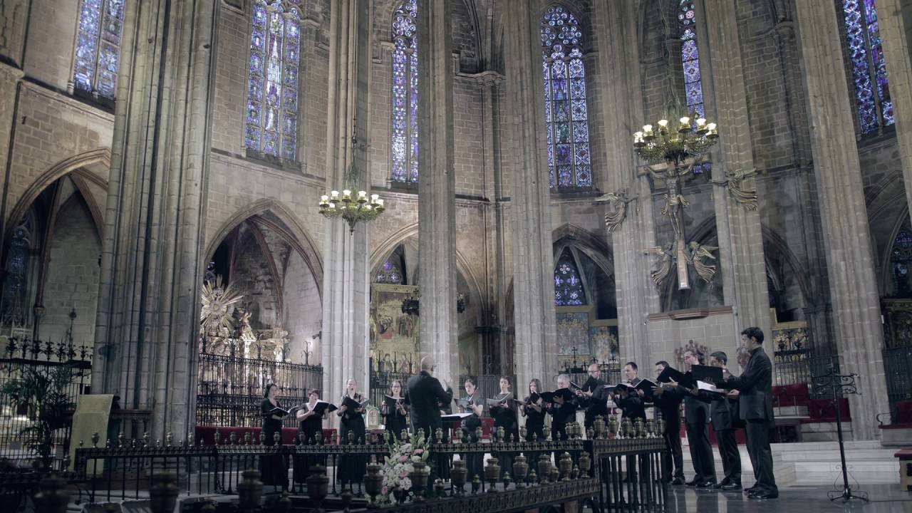 Bernat Vivancos - El Cant dels Ocells