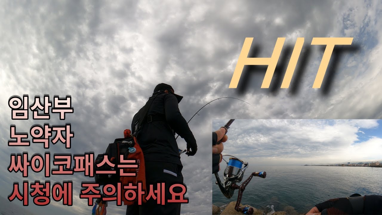 이래서 사람들이 시즌시즌 하는거죠?! [제주도 무늬오징어 에깅낚시]