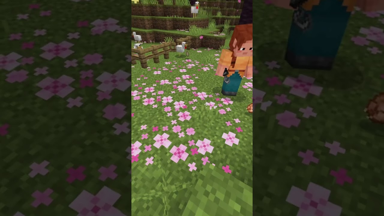 Minecrefiti