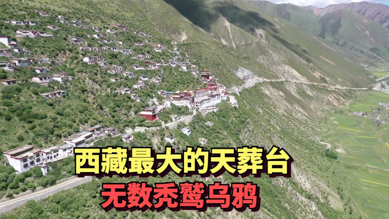 实拍西藏最大天葬台，里面的秃鹫像绵羊一样大，地上无数秃鹫羽毛，通往天葬台的路极其危险