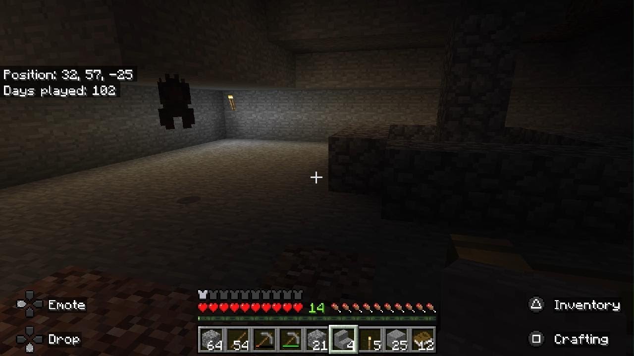 Minecraft_20260129161552