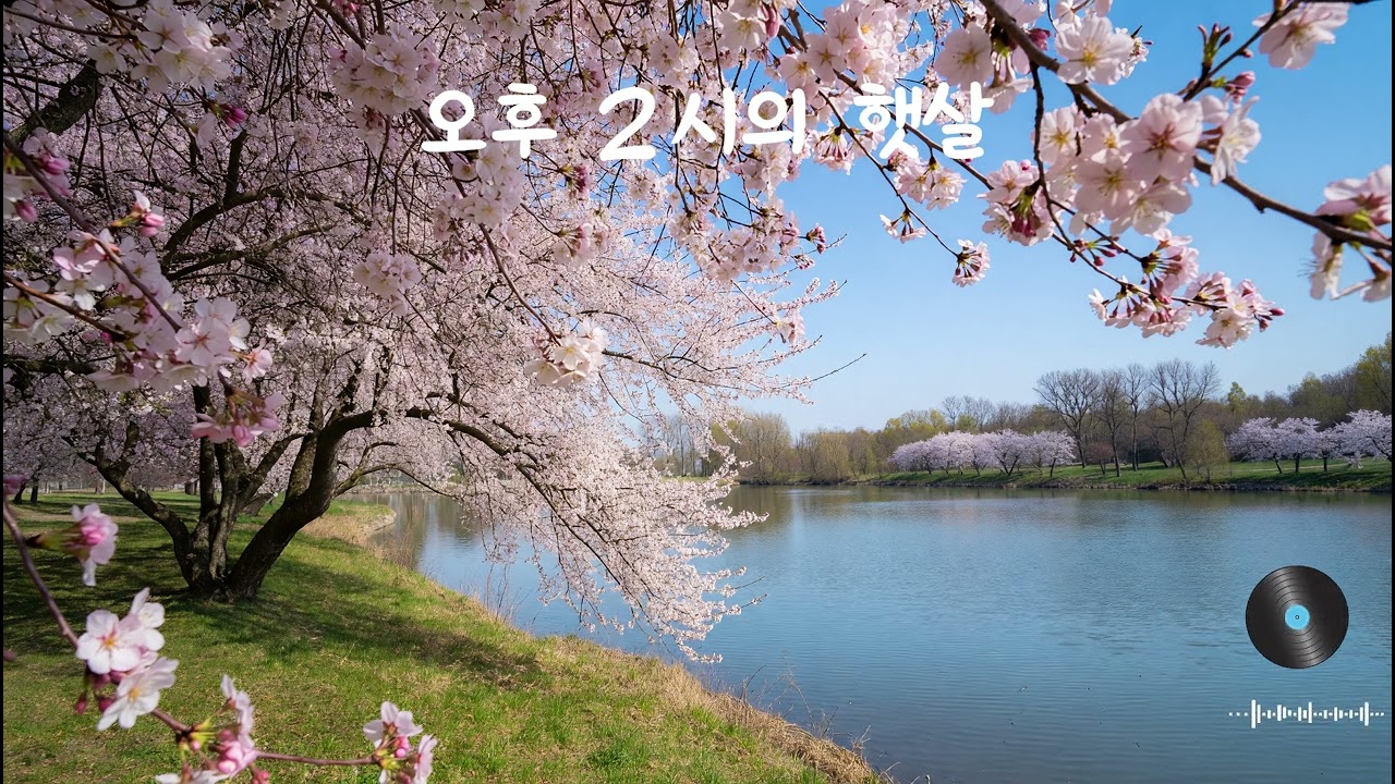 Vibe Music Studio [ 봄, 지친 하루, 힐링 쉼터 플레이리스트 채널 ]