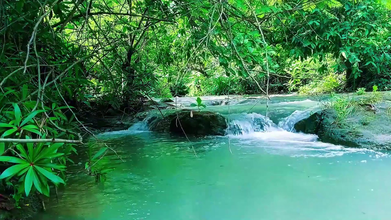 Cascading Waterfall Sound for Sleep | 12 Hours