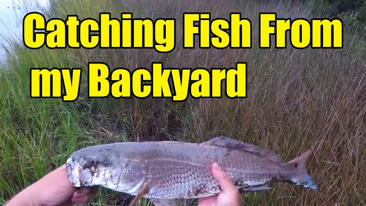 Bank Fishing for REDFISH and FlOUNDER